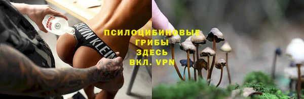 хмурый Арсеньев
