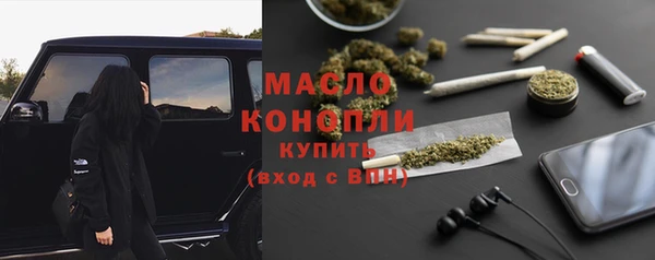 хмурый Арсеньев