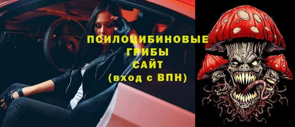 хмурый Арсеньев