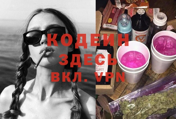 хмурый Арсеньев